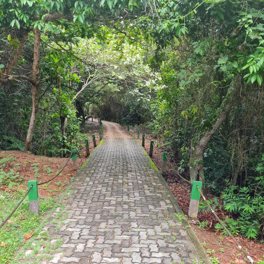 Suite Ampla No Melhor Da Barra Da Tijuca リオデジャネイロ エクステリア 写真